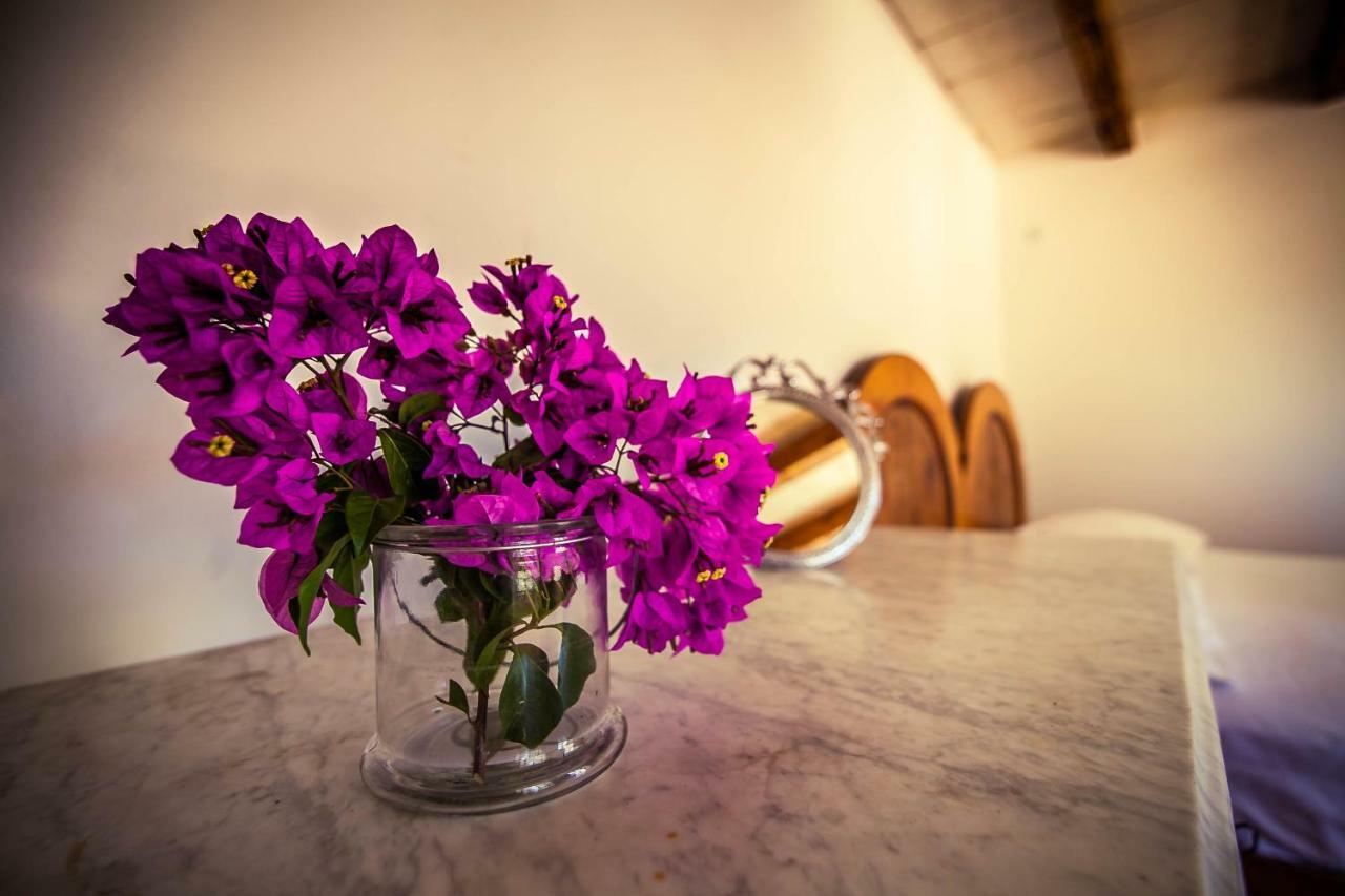 Villa Arboretum Милна Екстериор снимка